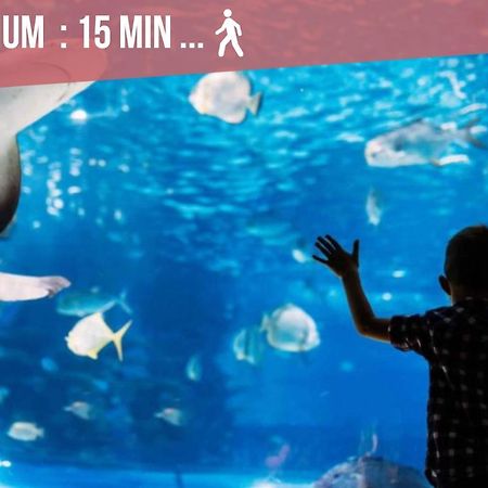 Ღ Marche Central • Au Coeur De Ville & Spacieux La Rochelle  Luaran gambar